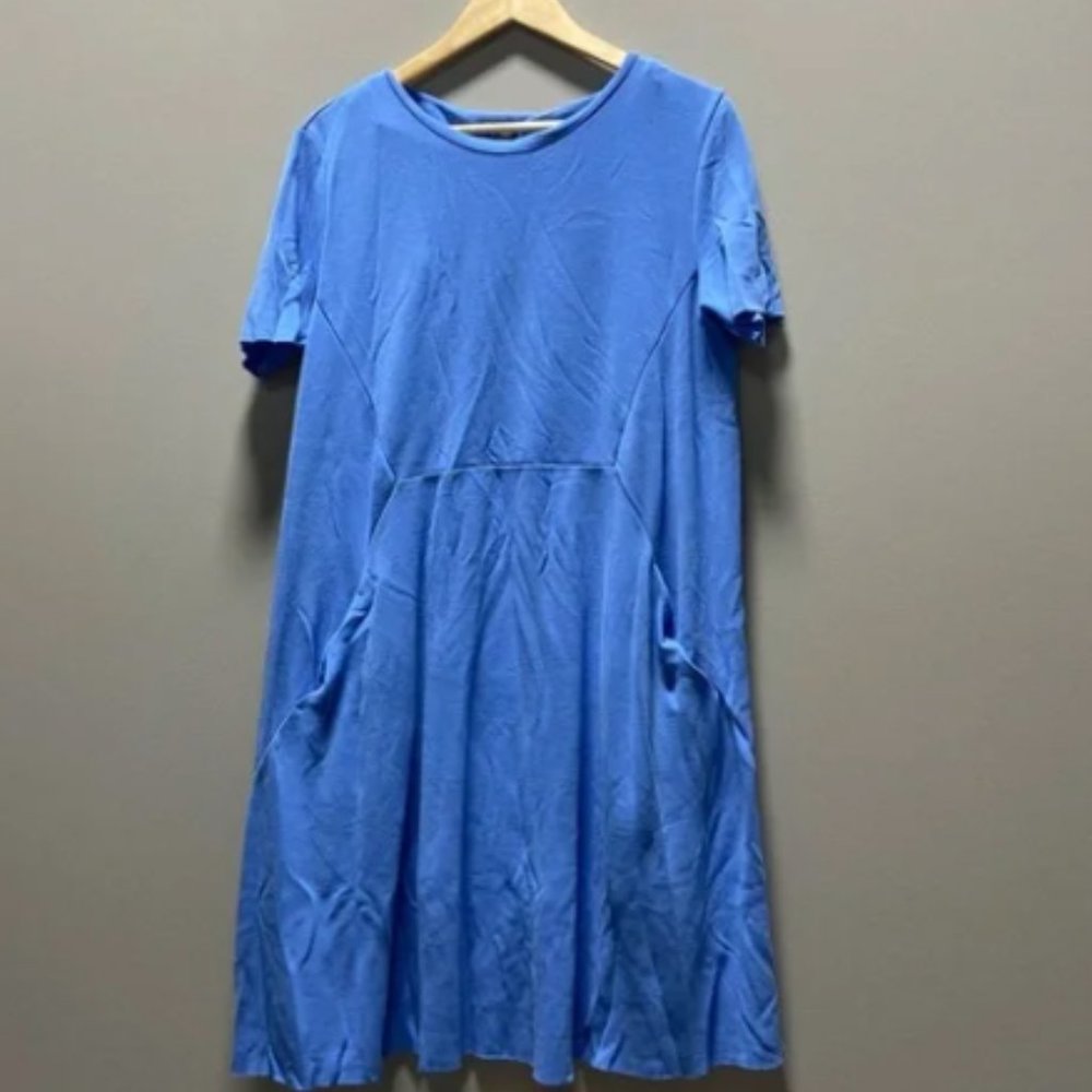 COS Blue Shirt Dress